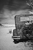 Car_and_cactus