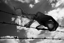 Flying_elephant