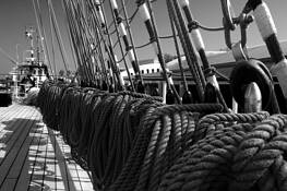Dreaming_on_sailing