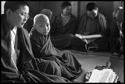 Reincarnate_tulku_nun