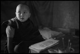 Reincarnate_tulku_studying