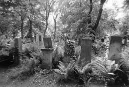 Jewish_cemetery_in_poland