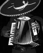 Accordion_player