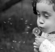 Make_a_wish