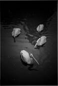 Untitled_10