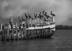 Untitled_01