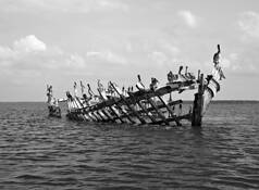 Untitled_10
