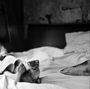 Little_magi_s_sweet_home_2