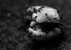 Untitled_7