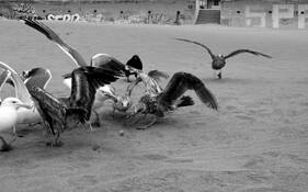 Untitled_9