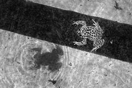 Shadows_7
