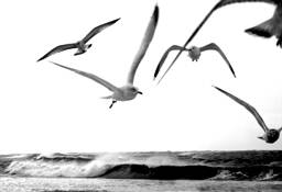 Untitled_2
