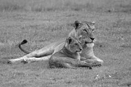 Mother_and_son
