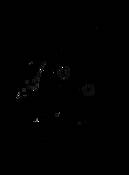 Chinese_lantern_negative_xray