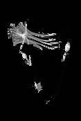 Columbine_negative_xray
