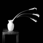 Three_callas_in_vase