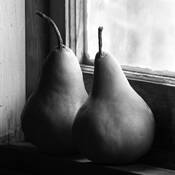 Two_pears_in_window