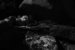 Texture_five