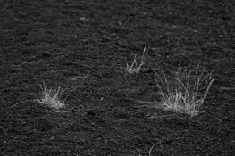 Texture_four