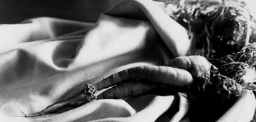 Carrot_love_2