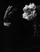 Hand_to_flower