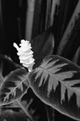 Untitled_4