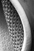 Monstera_flower