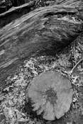 Untitled_7