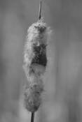 Untitled__2