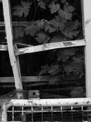 Greenhouse_03