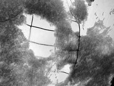 Greenhouse_04