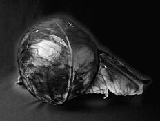Cabb_angel