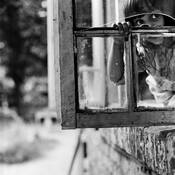 Little_magi_s_sweet_home_3
