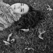 Just_before_the_gloaming_7