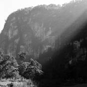 Morning_light