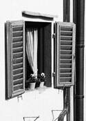 The_open_window