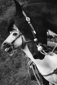 Old_spanish_days_fiesta