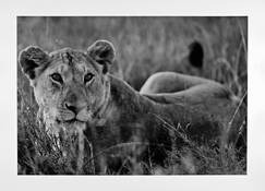 Untitled_7