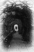 La_foce_gardens