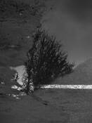 Untitled_2