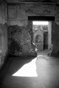 If_these_walls_could_speak