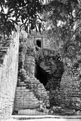 The_face_of_maya