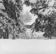 Brookwood_farm