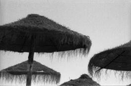 Untitled_1