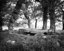Dolmen_de_la_mason_trouvee