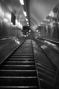 Mind_the_gap__7