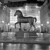 The_horses_from_san_marco