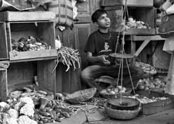 Selling_onions