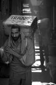 Transit_239