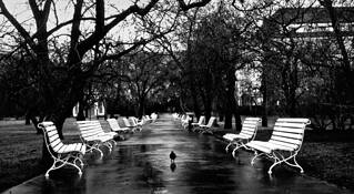 White_benches